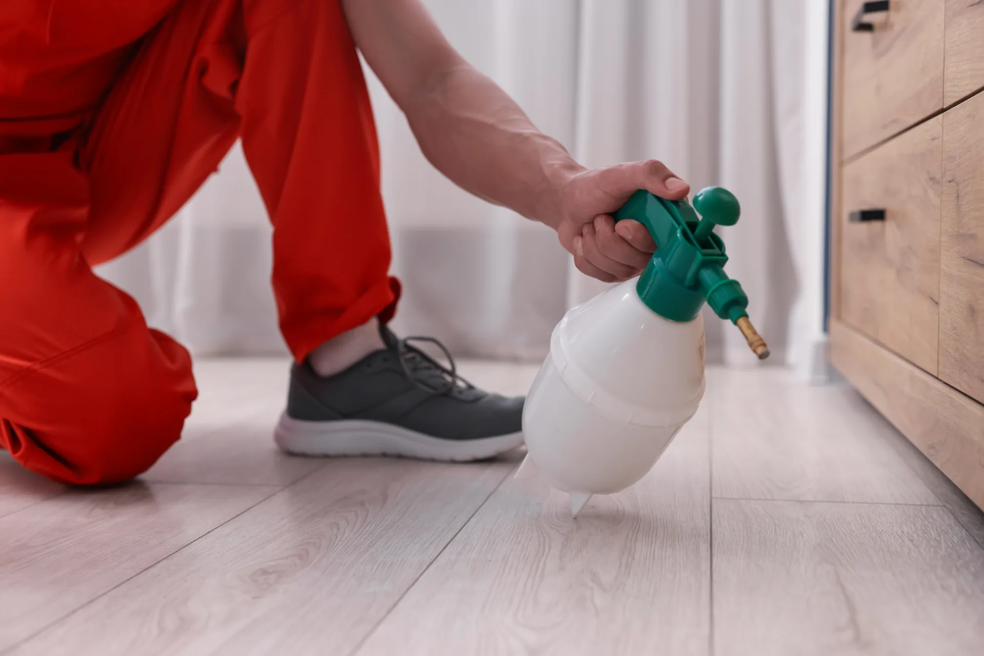 Bugsway emergency commercial pest control specialist for commercial properties