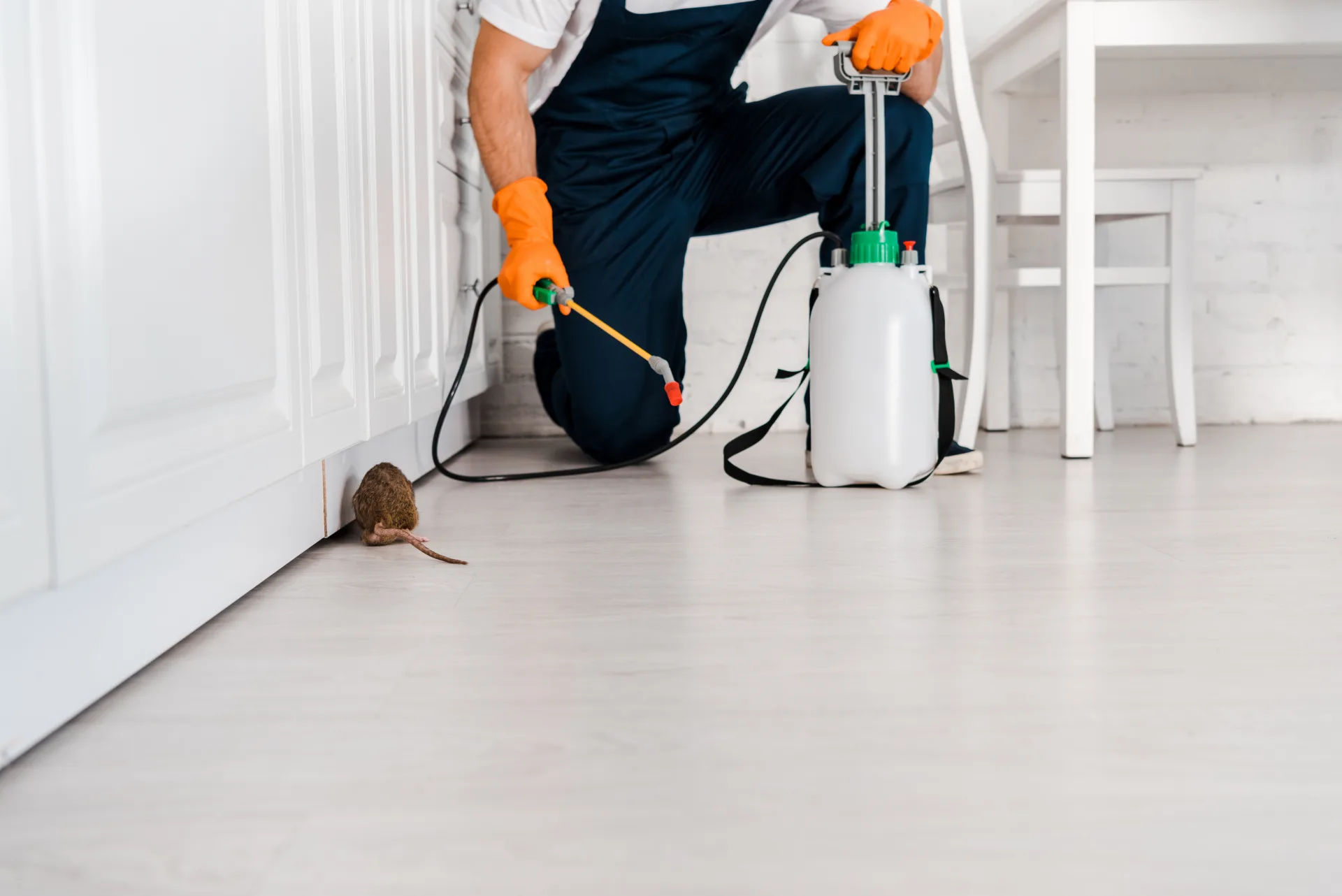 Bugsway Warehouse Pest Control - Toronto GTA commercial pest management