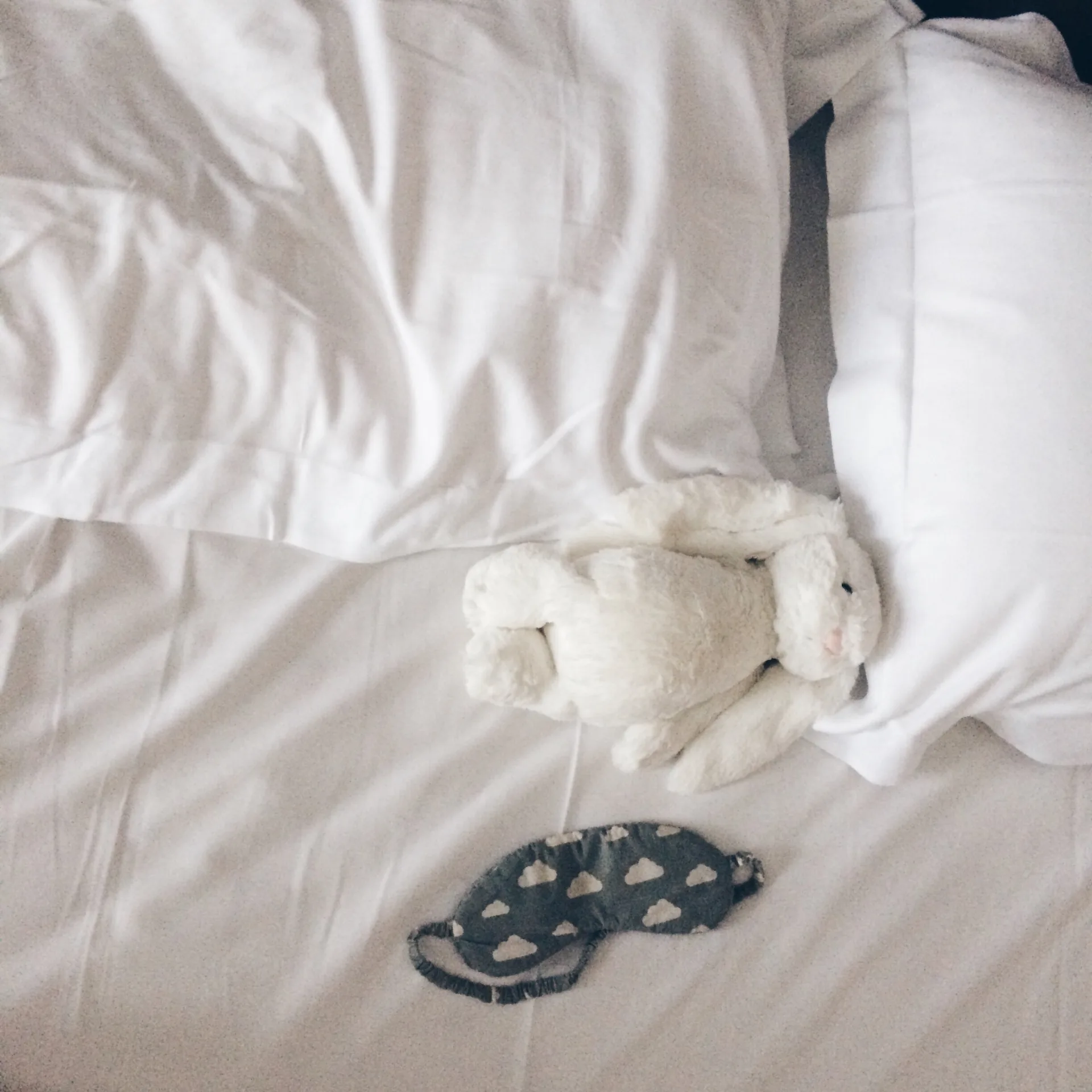 Bed bug treatment Burlington - Bugsway heat & chemical treatment