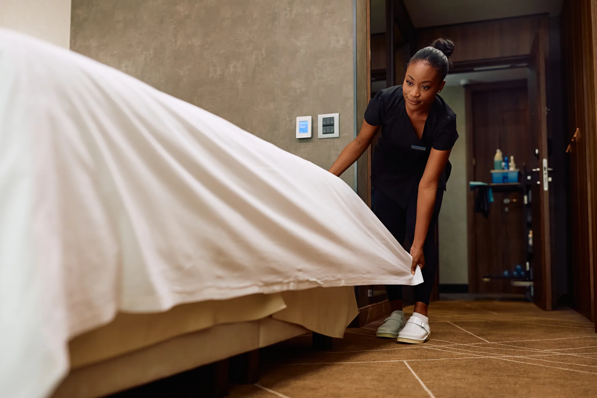 Bed Bug Treatment treatment process serving Brampton homes