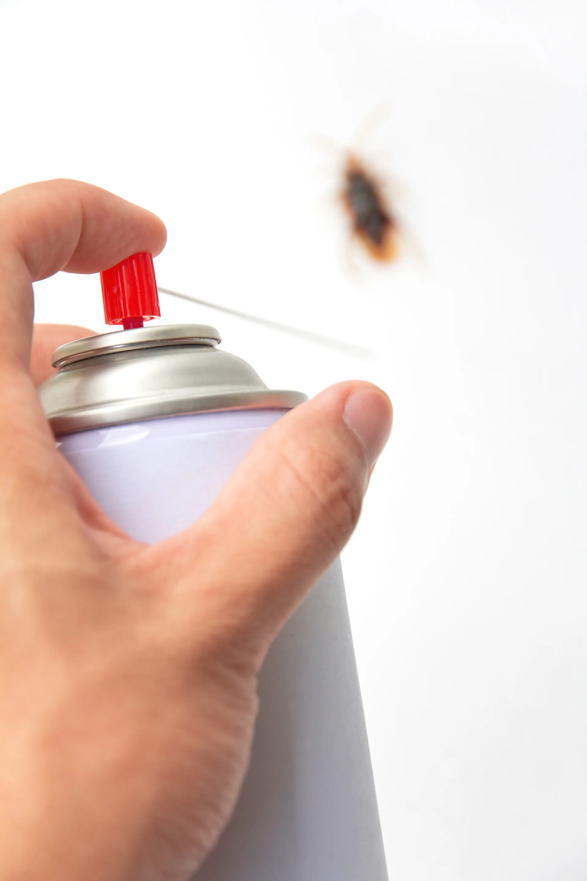Cockroach Control treatment process serving Markham homes