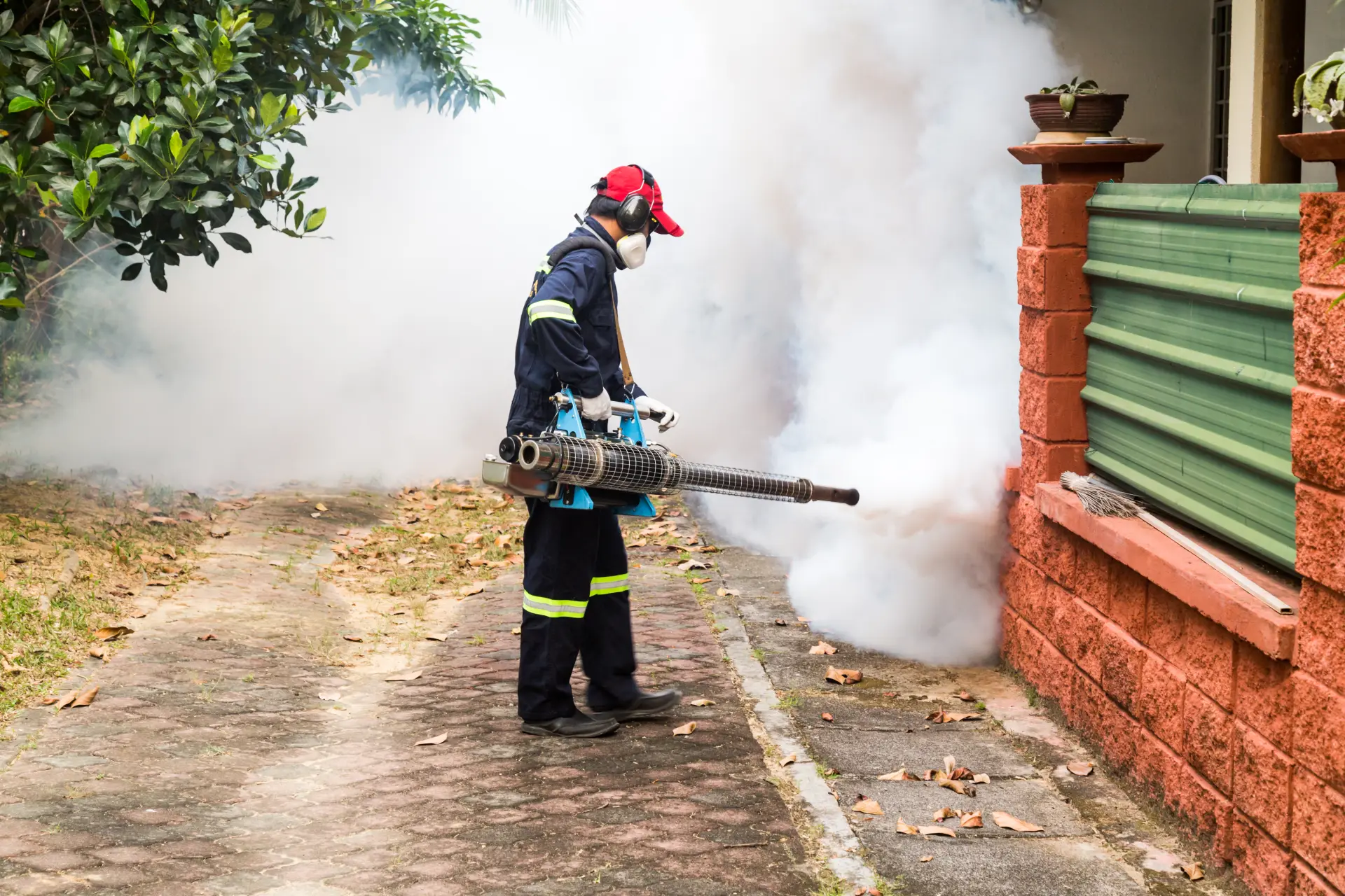 Bugsway mosquito control services in Brampton