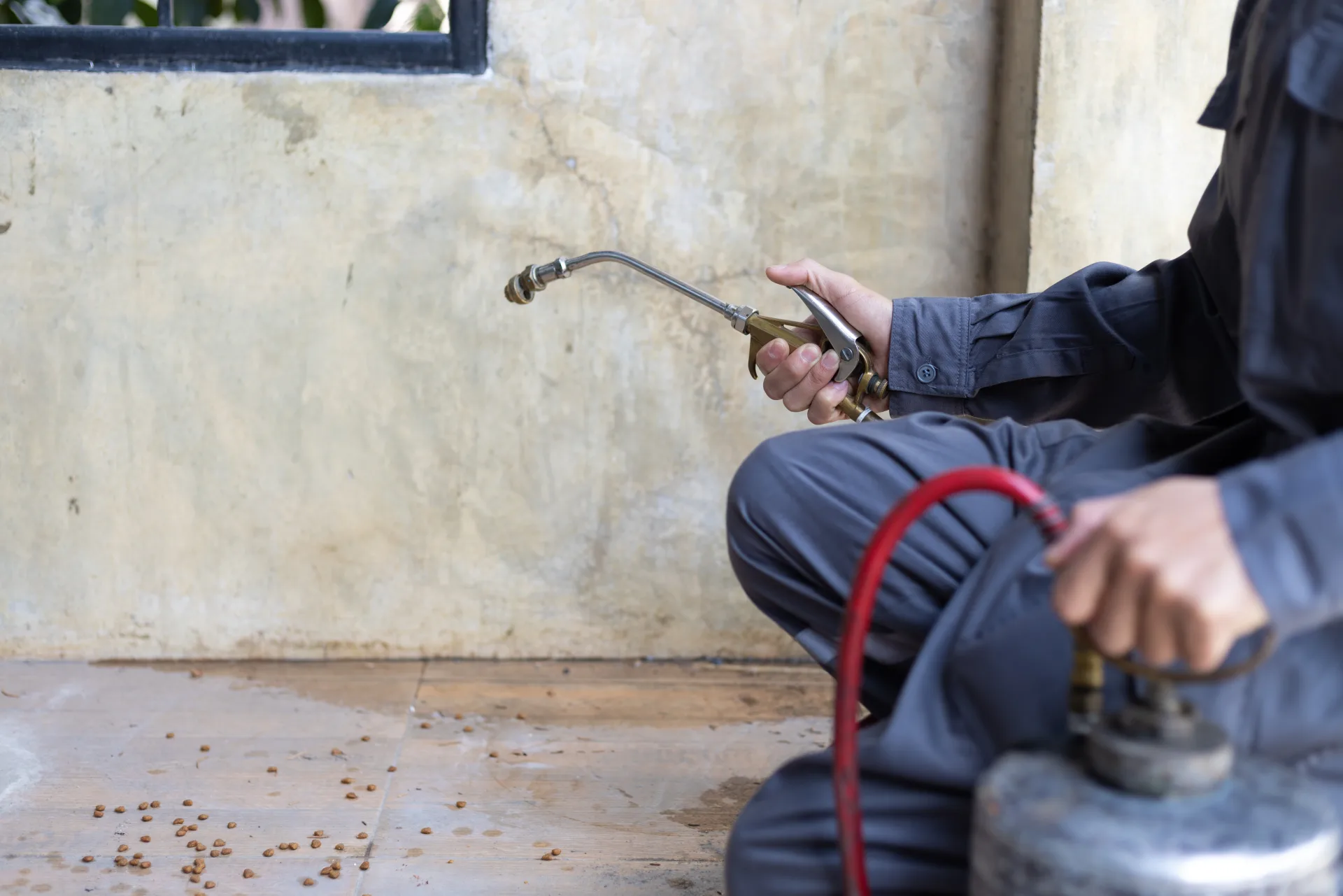 Bugsway certified rodent control technician in Oakville