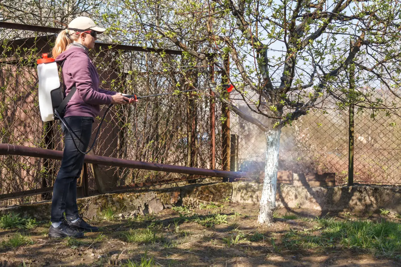 Combining Fogging With Other Mosquito Control Methods | Bugsway Mosquito Control