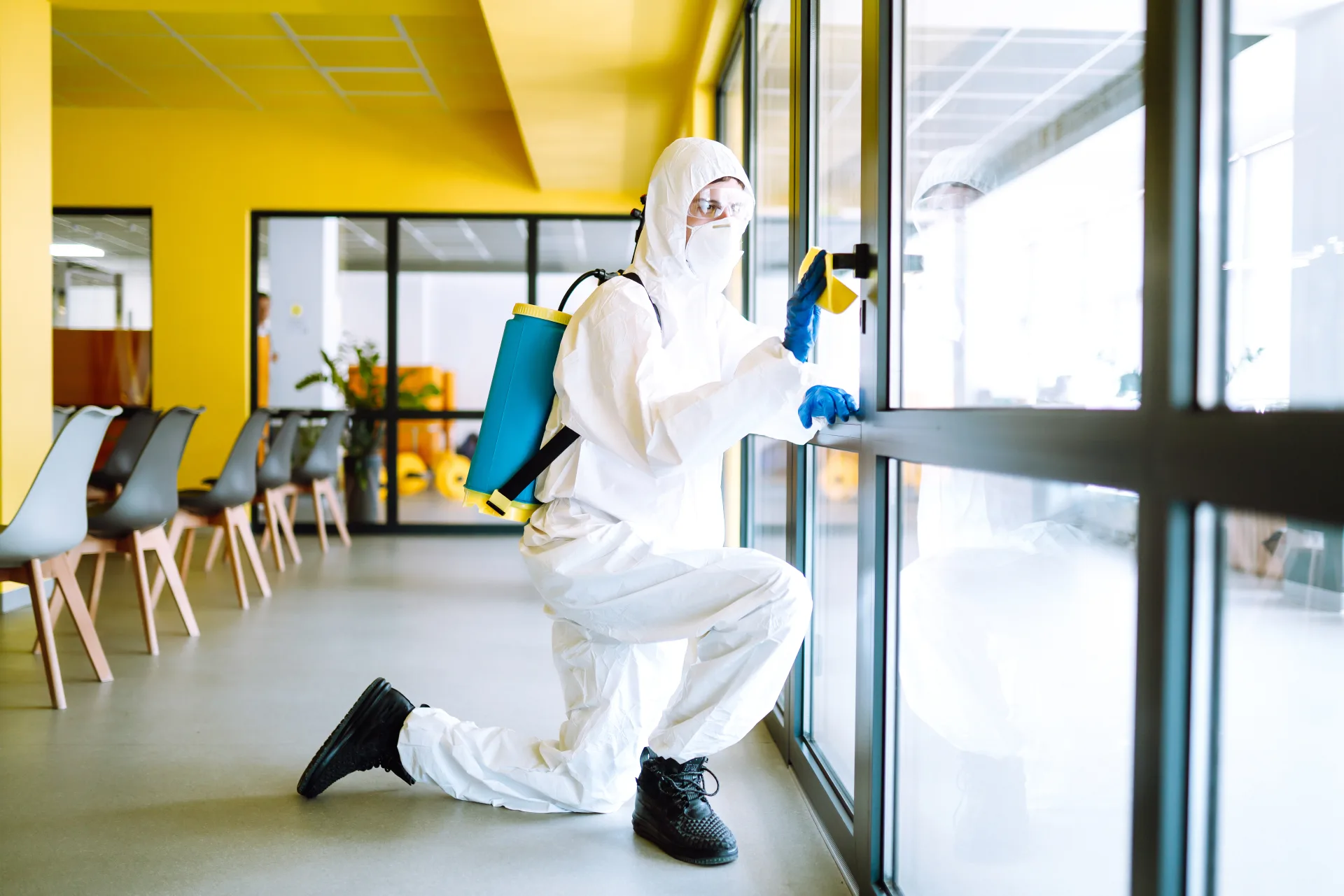 Most Common Pest Emergencies We Handle in the GTA | Bugsway Emergency